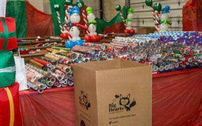 Big Hearts of Fox Valley to host wrapping party to benefit local families